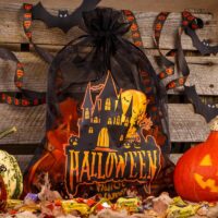 Halloween Organza Bag (No.2) 30 x 40 cm - black Organza bags