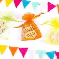 Organza bags, sized 7 x 9 cm - spring colour mix Fruit bags