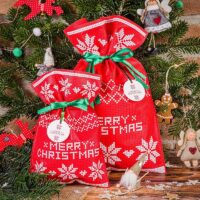 Nonwoven bags sized 20 x 30 cm, with Christmas-themed print All products