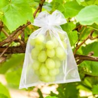 Organza bags 35 x 50 cm - gold Fruit bags