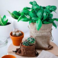 Burlap bag 9 x 12 cm - light natural Thanks to guests