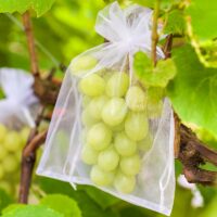 Organza bags 18 x 24 cm - burgundy Fruit bags